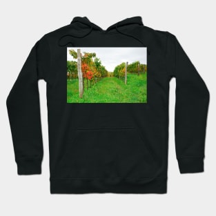 Autumn Grape Vines Near Abbazia Rosazzo Hoodie